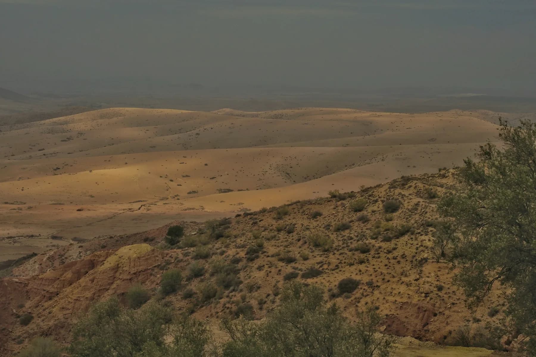 Organiser une excursion Agafay depuis Marrakech