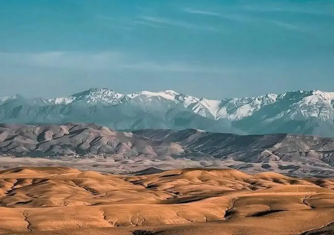 Caravane de dromadaires dans le désert d'Agafay à la golden hour